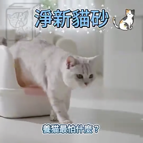 淨新 貓砂