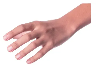 hand