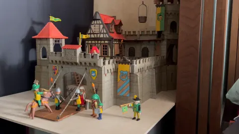 set 3666 5