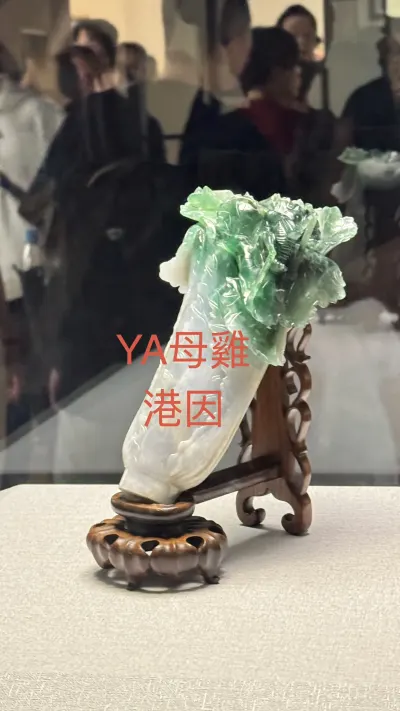 使用者分享的圖片