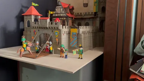 set 3666 7