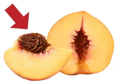 big seeds