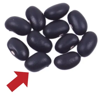 black seeds