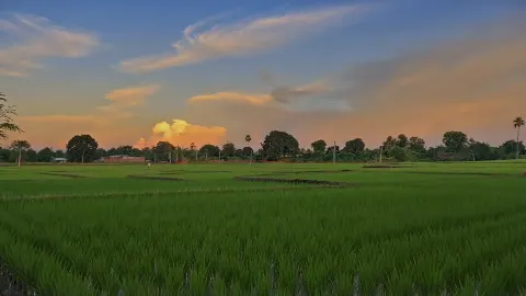 v1