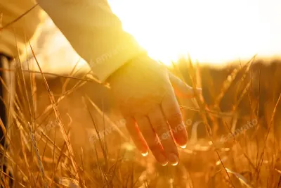 02 hand grass