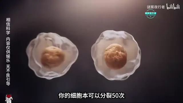 你活得越久，你的身体越想你死 (1eaet69EVm)