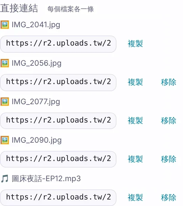 直接連結區:5 個檔案各有一條網址、「複製」按鈕,擁有者還有「移除」按鈕